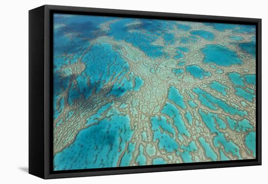 Aerial View of the Great Barrier Reef, Queensland, Australia-Peter Adams-Framed Premier Image Canvas