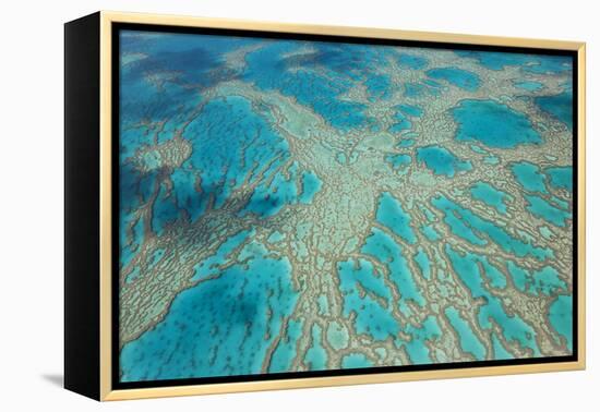 Aerial View of the Great Barrier Reef, Queensland, Australia-Peter Adams-Framed Premier Image Canvas