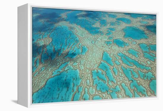 Aerial View of the Great Barrier Reef, Queensland, Australia-Peter Adams-Framed Premier Image Canvas