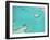 Aerial View of the Great Barrier Reef, Queensland, Australia-null-Framed Photographic Print