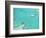 Aerial View of the Great Barrier Reef, Queensland, Australia-null-Framed Photographic Print