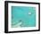 Aerial View of the Great Barrier Reef, Queensland, Australia-null-Framed Photographic Print