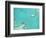 Aerial View of the Great Barrier Reef, Queensland, Australia-null-Framed Photographic Print