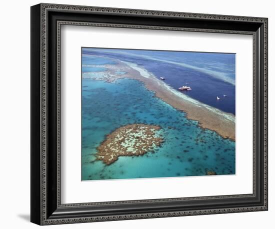 Aerial View of the Great Barrier Reef, Queensland, Australia-null-Framed Photographic Print