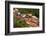 Aerial View of the Mining Town of Mahdia, Guyana, South America-Mick Baines & Maren Reichelt-Framed Photographic Print