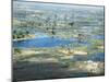 Aerial view of the Okavango Delta during drought conditions in early fall, Botswana-Michael Nolan-Mounted Photographic Print