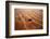 Aerial view of the sand dunes of the Arabian Desert next to Dubai, United Arab Emirates-Miva Stock-Framed Photographic Print