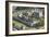 Aerial view of the Tower of London, UNESCO World Heritage Site, London, England, United Kingdom-Rolf Richardson-Framed Photographic Print