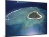 Aerial View of Tropical Island, Tavarua Island, Fiji-Neil Farrin-Mounted Photographic Print