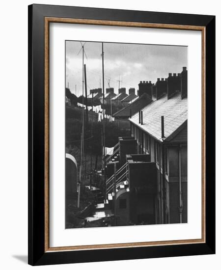 Aerial View of TV Antenna's on Houses of Middle-Income Development-Carl Mydans-Framed Photographic Print