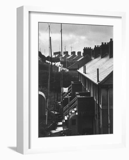 Aerial View of TV Antenna's on Houses of Middle-Income Development-Carl Mydans-Framed Photographic Print