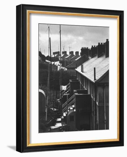 Aerial View of TV Antenna's on Houses of Middle-Income Development-Carl Mydans-Framed Photographic Print