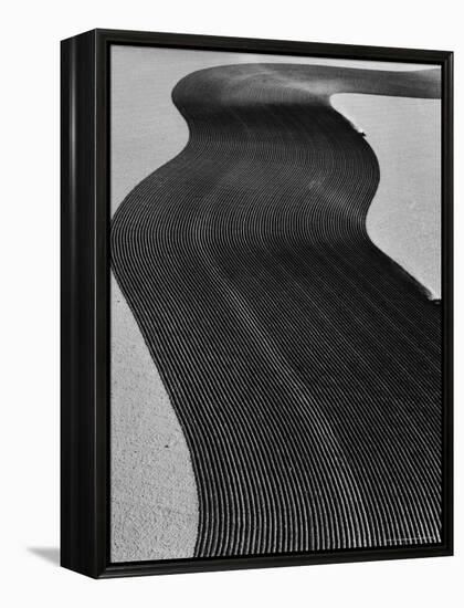 Aerial View of Two Tractors in Field Plowing Furrows in Methods Called "Listing" and "Contouring"-Margaret Bourke-White-Framed Premier Image Canvas