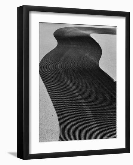 Aerial View of Two Tractors in Field Plowing Furrows in Methods Called "Listing" and "Contouring"-Margaret Bourke-White-Framed Photographic Print