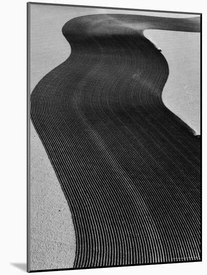 Aerial View of Two Tractors in Field Plowing Furrows in Methods Called "Listing" and "Contouring"-Margaret Bourke-White-Mounted Photographic Print