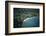 Aerial View of Waikiki Beach-Bettmann-Framed Photographic Print