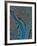 Aerial View of Washington Dc-Stocktrek Images-Framed Photographic Print