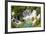 Aerial View of Waterfall with Rainbow-Studio Hrg-Framed Photographic Print