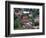 Aerial View of Whitman College Campus in Walla Walla, Washington, USA-William Sutton-Framed Photographic Print