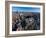 Aerial view of Wrigley Field, Chicago, Cook County, Illinois, USA-null-Framed Photographic Print