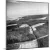 Aerial View over Ardennes Showing Us Tank Company During the Battle of the Bulge-null-Mounted Photographic Print