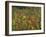 Aerial View over Autumnal Forest Canopy, Near Green Knob, Blue Ridge Parkway, North Carolina, USA-James Green-Framed Photographic Print