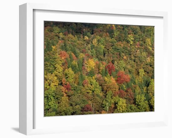 Aerial View over Autumnal Forest Canopy, Near Green Knob, Blue Ridge Parkway, North Carolina, USA-James Green-Framed Photographic Print