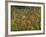 Aerial View over Autumnal Forest Canopy, Near Green Knob, Blue Ridge Parkway, North Carolina, USA-James Green-Framed Photographic Print