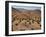 Aerial View over Fars Province Landscape, with Olive Trees, Iran, Middle East-Poole David-Framed Photographic Print