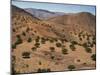 Aerial View over Fars Province Landscape, with Olive Trees, Iran, Middle East-Poole David-Mounted Photographic Print