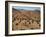 Aerial View over Fars Province Landscape, with Olive Trees, Iran, Middle East-Poole David-Framed Photographic Print