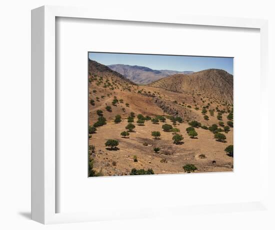 Aerial View over Fars Province Landscape, with Olive Trees, Iran, Middle East-Poole David-Framed Photographic Print