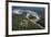 Aerial view over Iguacu Falls, Iguacu (Iguazu) National Park, Brazil-Gavin Hellier-Framed Photographic Print