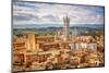 Aerial View over Siena: Siena Cathedral-sborisov-Mounted Photographic Print