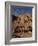 Aerial View over St. Catherines Monastery, UNESCO World Heritage Site, Egypt, Sinai-Julia Bayne-Framed Photographic Print