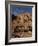 Aerial View over St. Catherines Monastery, UNESCO World Heritage Site, Egypt, Sinai-Julia Bayne-Framed Photographic Print