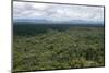 Aerial View over the Rainforest of Guyana, South America-Mick Baines & Maren Reichelt-Mounted Photographic Print