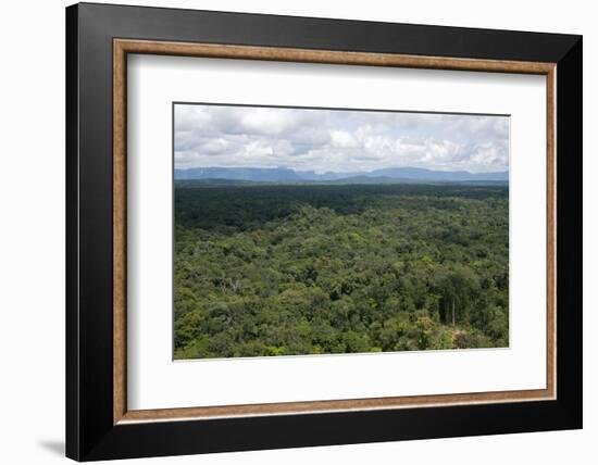 Aerial View over the Rainforest of Guyana, South America-Mick Baines & Maren Reichelt-Framed Premium Photographic Print