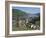 Aerial View over the Town of Bacharach and the Rhine River, Rhineland, Germany, Europe-Hans Peter Merten-Framed Photographic Print