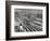 Aerial View Overlooking Network of Tracks for 20 Major Railroads Converging on Union Station-Andreas Feininger-Framed Photographic Print