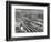 Aerial View Overlooking Network of Tracks for 20 Major Railroads Converging on Union Station-Andreas Feininger-Framed Photographic Print