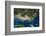 Aerial View, Portofino, Liguria, Italy, Europe-Peter Groenendijk-Framed Photographic Print