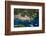 Aerial View, Portofino, Liguria, Italy, Europe-Peter Groenendijk-Framed Photographic Print