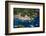 Aerial View, Portofino, Liguria, Italy, Europe-Peter Groenendijk-Framed Photographic Print