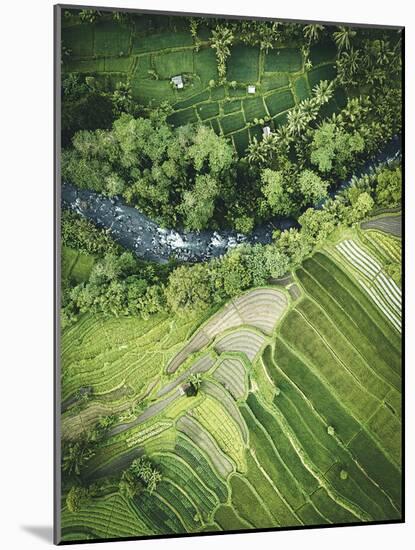 Aerial View - River-Joseph Eta-Mounted Giclee Print