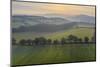 Aerial vista of rolling farmland in summer time, Devon, England, United Kingdom, Europe-Adam Burton-Mounted Photographic Print