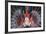 Aerials-Lion Fish, Pterois Antennata, Florida Islands, the Solomon Islands-Reinhard Dirscherl-Framed Photographic Print