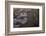 Aerials of Boston Logan International Airport-Joseph Sohm-Framed Photographic Print