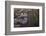 Aerials of Boston Logan International Airport-Joseph Sohm-Framed Photographic Print