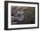 Aerials of Boston Logan International Airport-Joseph Sohm-Framed Photographic Print